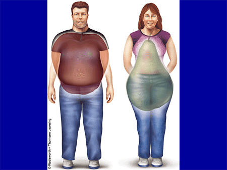Obesitas Android
