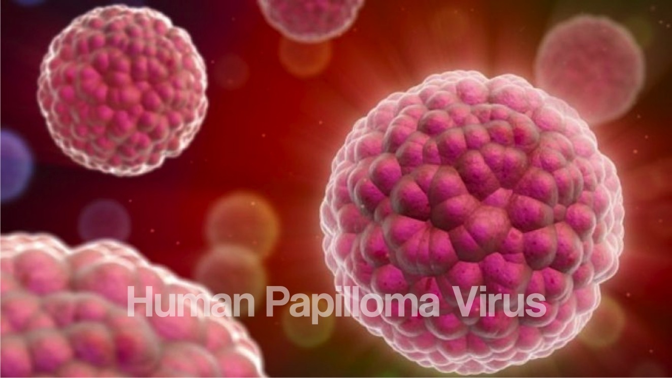 Importanta Testului HPV in depistarea cancerului de col uterin