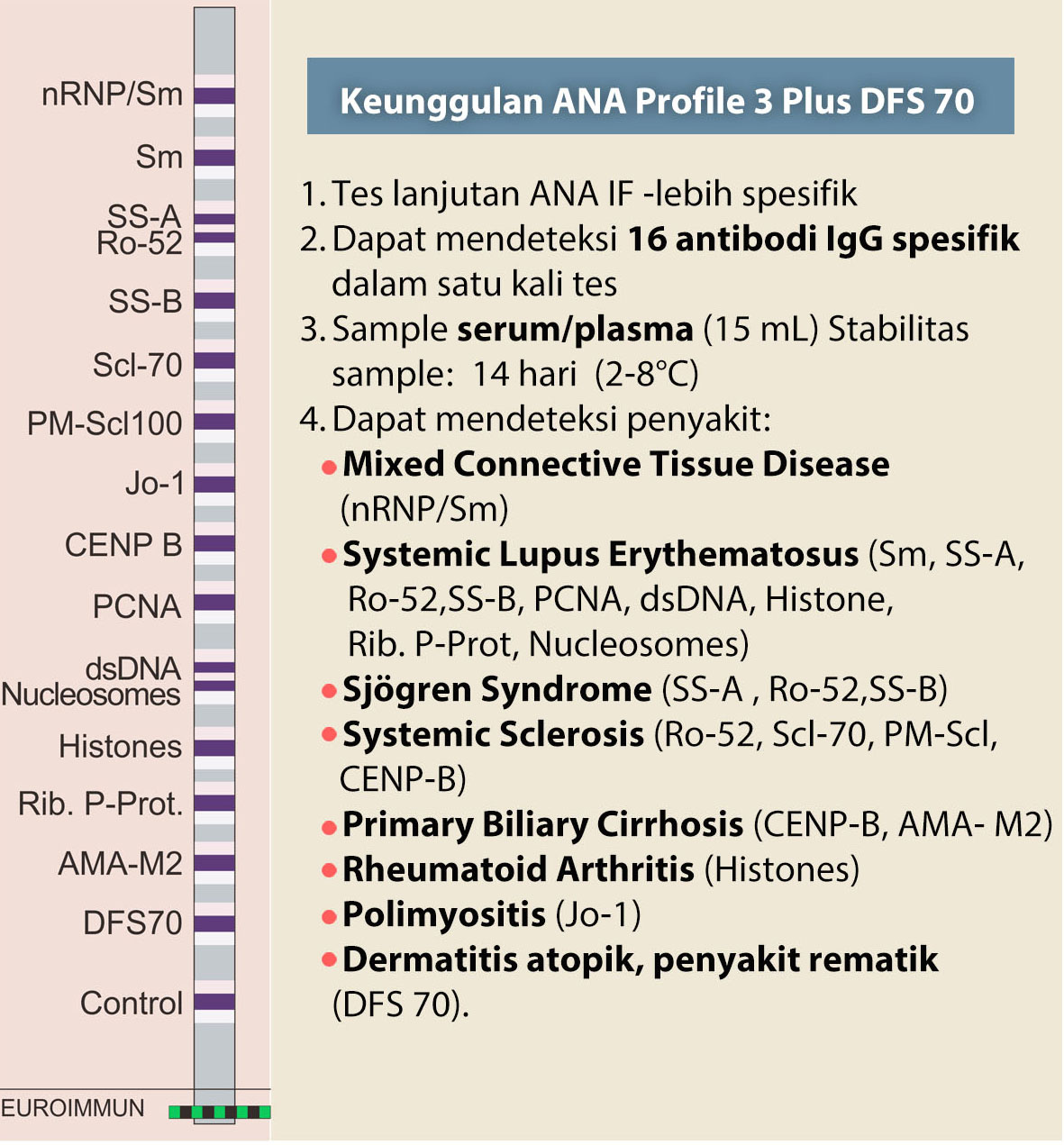 Pemeriksaan anti nuclear antibody ana laboratorium amerind bio clinic